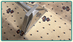 Carpet Stain Removal